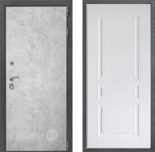 Входная металлическая Дверь Дверной континент ДК-3/743 ФЛ-243 Альберо Браш серебро в Электростали